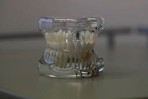 пасти за зъби без флуор - 86923 селекции