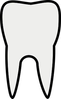 пасти за зъби без флуор - 8977 комбинации