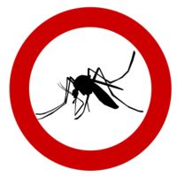 Insektenschutztür - 21897 Aktionen