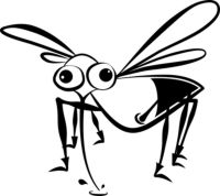 Insektenschutztür - 50681 Kombinationen